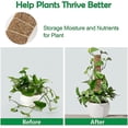 thumbnail image 2 of Coir Pole, 2pcs 40cm Monstera Plant Support, Moss Pole For Cheese Plant Indoor, 2 of 5