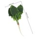 thumbnail image 2 of unbranded Espinaca Simulada Para De Ambiente Con Apariencia Natural Y Fácil Mantenimiento, 2 of 8