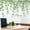 1Pc, variant on 1Pc Green Plants Eucalyptus Wall Sticker Vine Leaves Wall Decal Removable Watercolor Wall Art Decor Peel and Stick Wall Sticker Murals Decoration for Home Nursery Living Room (11.8 x 15.7 Inch)