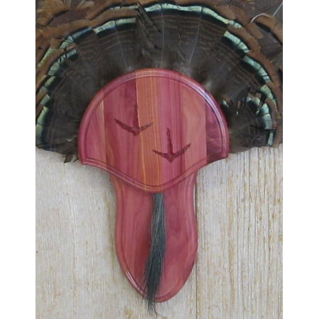 Fan Mount Kit - The Taxidermists' Woodshop Cedar Turkey Fan Mounting Kit 02 with Carved Tracks