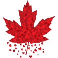 thumbnail image 3 of CafePress - Red Maple Leaf Infant T Shirt - Infant T-Shirt, 3 of 4