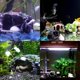 thumbnail image 5 of 2 Pezzi Ornamento in Resina per Acquario Decorazioni per Cave d'Acquario Resina per Acquario Ornamento per Barile Rotto Decorazione Paesaggistica per Pesci d'Acquario: Casa e cucina, 5 of 5