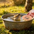 thumbnail image 3 of Bird Bath Water Purifier Discs Natural Enzyme Cleaner For Bird Baths Outdoor Garden Pond Water Treatment, 3 of 4