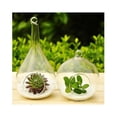 thumbnail image 3 of EeaseCA Create Refreshing Transparent Hanging Glass Planter Terrarium Vase Home Decor (Teardrop), 3 of 6