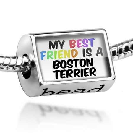 Bead My best Friend a Boston Terrier Dog from United States Charm Fits All European (Boston Terrier Best Dog)