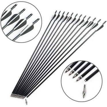 EROCK 12 Pcs 30" Fiberglass Arrows Archery OD 8mm For Recurve/Compound bow Hunting US
