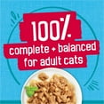 thumbnail image 4 of Purina Friskies Tasty Treasures Prime Filets, Tuna, Wet Cat Food, 5.5 oz Can, 4 of 8