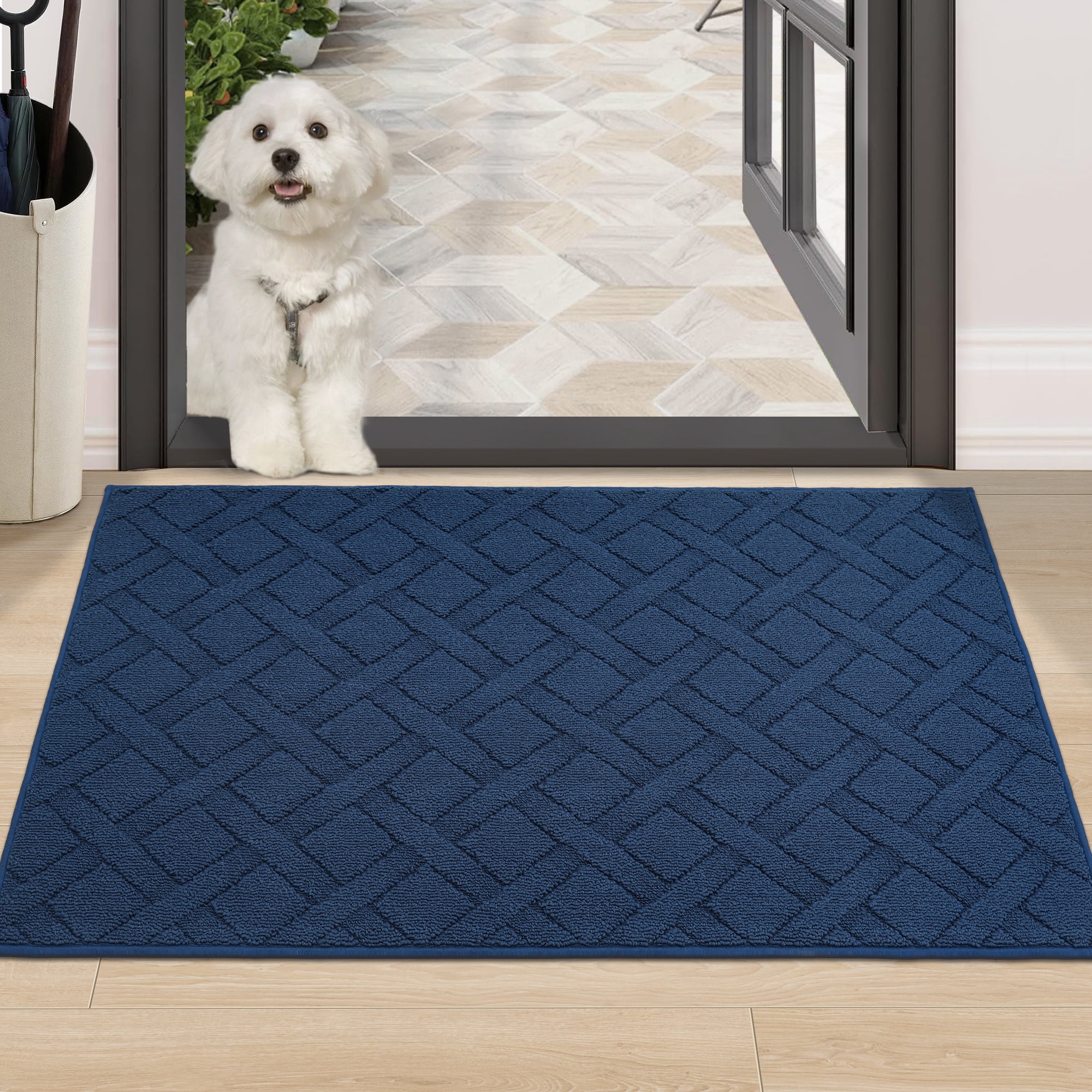FLOORHUG Indoor Dog Doormat, 32"x48", Non-Slip Front Door Mat for Entrance, Absorbent Resist Dirt Door Rug for Inside, Low-Profile Welcome Mat, Entryway Rug Machine Washable, Blue