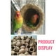thumbnail image 5 of Decoración En La Casa de Los Pájaros, Hogar Acogedor En Amigos, Color En El Jardín, Decoración En Terrazas, Ideal En Casas y Jardines, Incluye 1 Casa En Pájaros, Tamaño Como Se Muestra, 5 of 7
