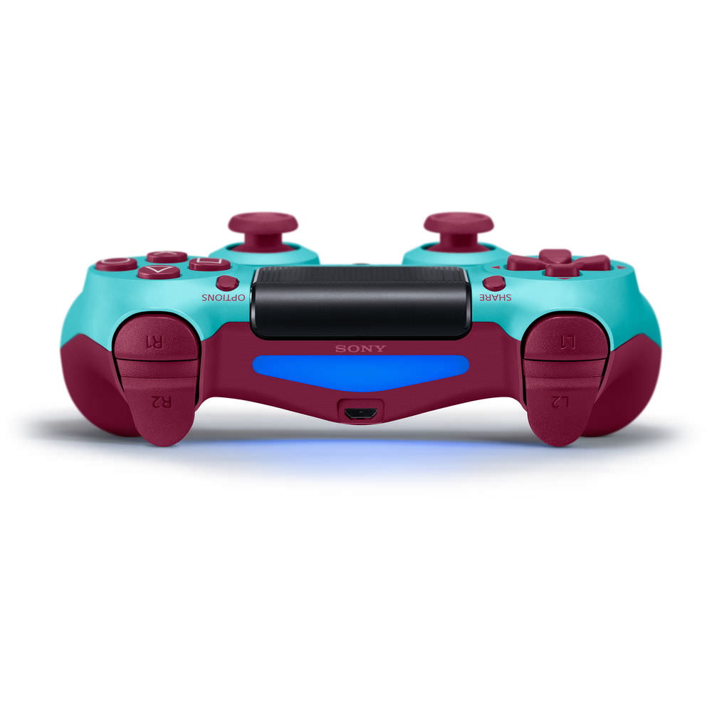 ps4 blueberry controller