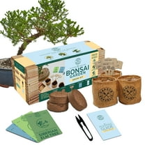 Garden Republic Bonsai Tree Kit, All-in-One Indoor Grow Kit