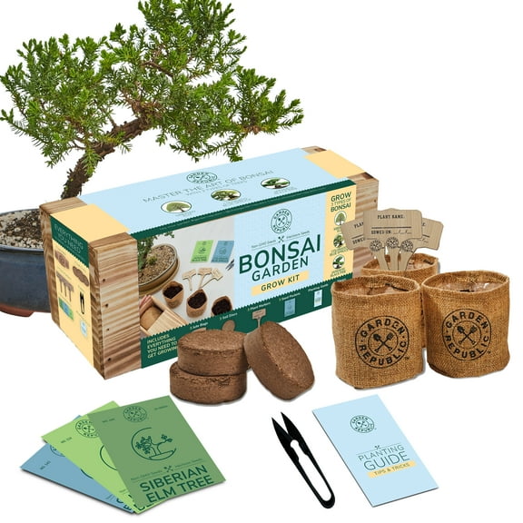 Garden Republic Bonsai Tree Kit, All-in-One Indoor Grow Kit