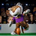 thumbnail image 5 of Bleacher Creatures LSU Mike The Tiger 10" Mascot Plush Figure, 5 of 5