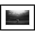 thumbnail image 1 of Global Gallery Peter Svoboda 'Morning Appearance' Framed Wall Art, 1 of 4