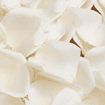 thumbnail image 2 of 5000 White Petals- Beautiful Fresh Cut Flowers- Express Delivery, 2 of 4