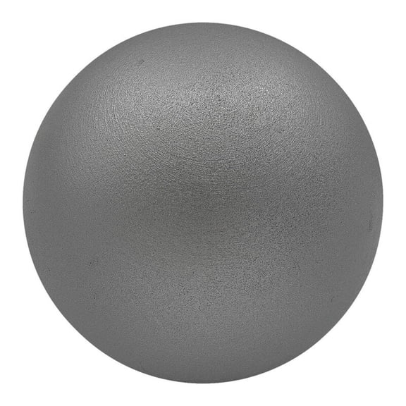 Champion Sports Iron Shot Put, Silver, 8 Pounds