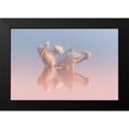 thumbnail image 1 of Rublina, Natalia 24x17 Black Modern Framed Museum Art Print Titled - Two Pelicans, 1 of 4