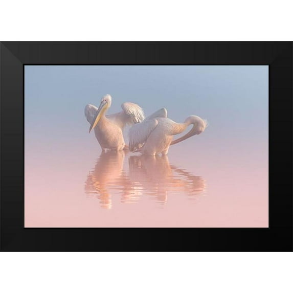 Rublina, Natalia 24x17 Black Modern Framed Museum Art Print Titled - Two Pelicans
