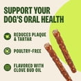 thumbnail image 5 of Wellness WHIMZEES Veggie Sausage Natural Dog Dental Treat, Chews, Freshens Breath, Large Size, 14.81 oz Bag, 7 Count, 5 of 9