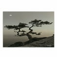 thumbnail image 1 of Tree Cutting Board, Lonely Juniper Tree on Seaside Cliff Full Moon at Sunset Nature Theme Art Print, Decorative Tempered Glass Cutting and Serving Board, Small Size, Brown Grey, by Ambesonne, 1 of 1