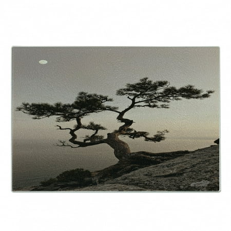 

Tree Cutting Board Lonely Juniper Tree on Seaside Cliff Full Moon at Sunset Nature Theme Art Print Decorative Tempered Glass Cutting and Serving Board Small Size Brown Grey by Ambesonne