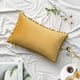thumbnail image 2 of Paquete de 2 fundas de almohada de terciopelo, fundas de almohada decorativas con pompones, fundas de almohada suaves sólidas con pompones cuadrados para sofá, dormitorio, coche, 45x45cm Xemadio LRWJ223-5, 2 of 6