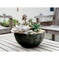 thumbnail image 6 of (2 pack) Root & Vessel Napa Bowl Planter, Black, 12", 6 of 7