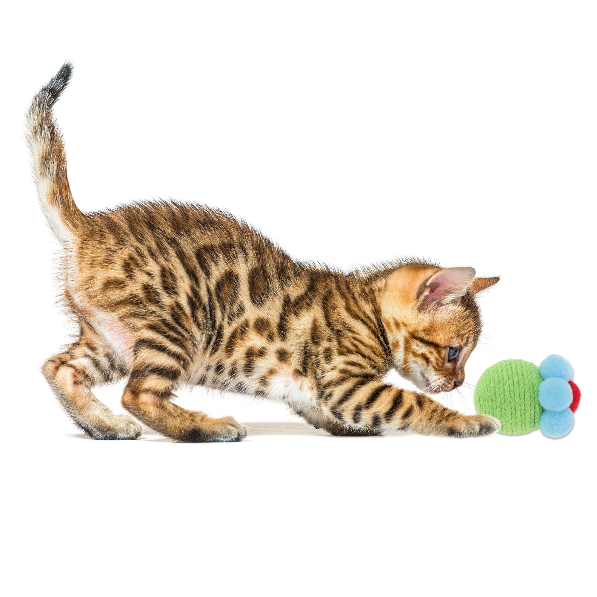 Unique Bargains Safe Teeth Cleaning Chew Balls Green