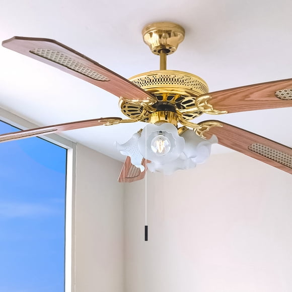 CRAFTHROU Tirador Para De Y Ventilador Negro Resistente Y De Estilo Contemporáneo