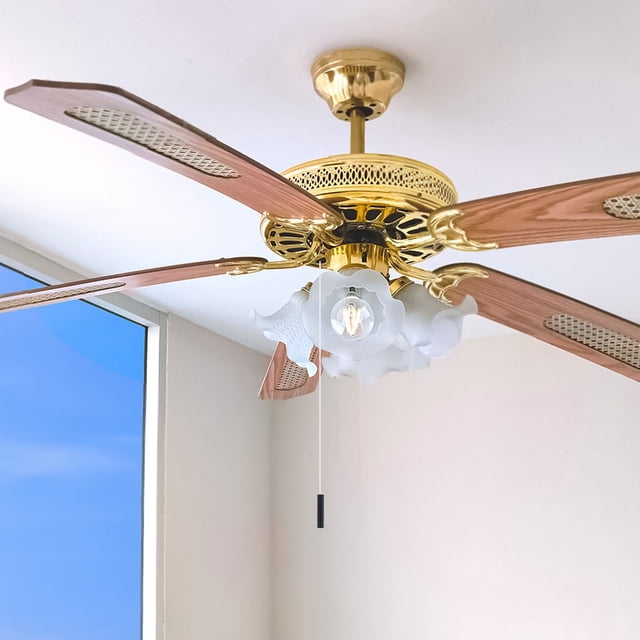 CRAFTHROU Tirador Para De Y Ventilador Negro Resistente Y De Estilo Contemporáneo