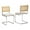 Beige, variant on IVV Set of 2 Mid-Century Modern Velvet Dining Chairs with Rattan Cane Back, Accent Armless Side Chairs with Chrome Cantilever Frame, Gold Velvet Seat