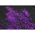 thumbnail image 2 of Magik Mini Bubble Beads 3D Nail Art Decoration Manicure 1-3mm Mixed Colorful DIY (8 Pack, Dark Purple), 2 of 5