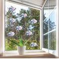 thumbnail image 3 of Cateissary Adhesivo de vidrio arcoíris anticolisión decoración ventana calcomanía espejo se aferra Decoración del hogar, 3 of 6
