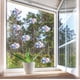 thumbnail image 2 of Bearachild Adhesivo de cristal arcoíris decorativo para ventana adhesivo extraíble para espejo Decoración del hogar, 2 of 6