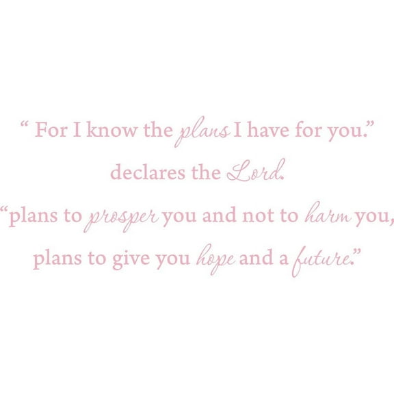 Pink 53" x 22" Pink 53" x 22" "For I know the plans i have for you," declares the Lord..... Vinyl Wall Art Home Decor Decal Sticker