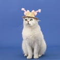 thumbnail image 6 of BQBQERT Straw Hat for Cats Dogs 2PCS Festival Pet Straw Hat Lovely Tiny Hat Outdoor Camping Hat Headwear for Bichon, 6 of 16