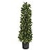 thumbnail image 3 of Nearly Natural 9454 3 in. Sweet Bay Cone Topiary Artificial Tree, 3 of 4
