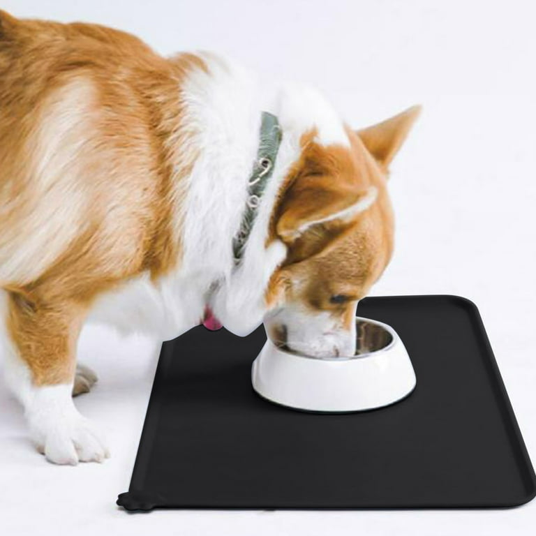 Dog Training Dog Eating Pee Pad Potty Buddy How To Get Puppies To