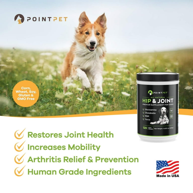 Human glucosamine chondroitin for dogs cheap