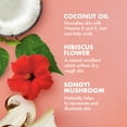 thumbnail image 2 of SheaMoisture Body Butter Coconut & Hibiscus 6 oz, 2 of 8