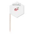 thumbnail image 1 of Red Fruit  island Painting Toothpick Flags Cupcake Picks Party Celebration, 1 of 3
