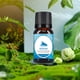 thumbnail image 1 of Aceite Aromaterapia Grado Terapéutico Aroma Soluble en Agua 10ML, 1 of 3