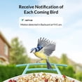 thumbnail image 2 of Comedero inteligente para pájaros NETVUE Birdfy Lite con cámara 1080P, 2 of 9