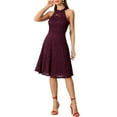 thumbnail image 2 of INSPIRE CHIC Women's Dress Floral Lace Halter Neck Sleeveless Elegant Cocktail A-Line Dress XS Burgundy, 2 of 5