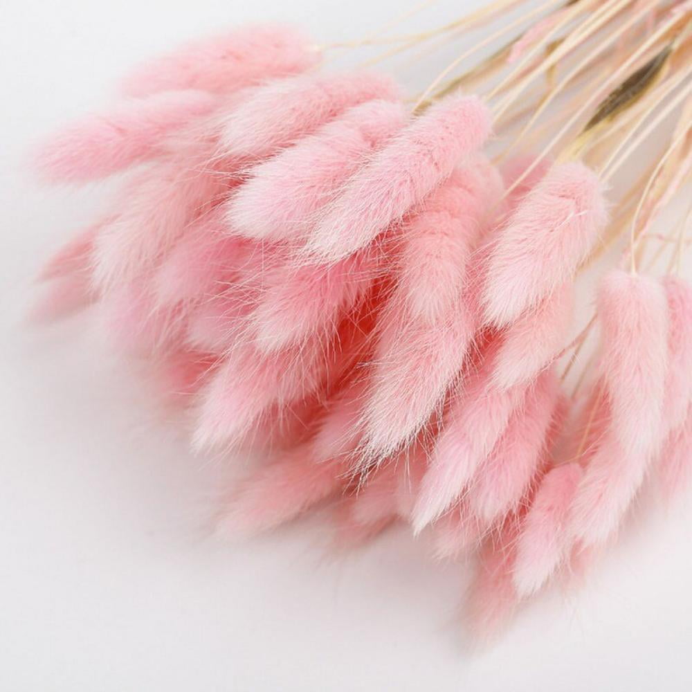 Details about   HOT~~Natural Dried Flowers Bouquets Bunny Tails Rabbit Tail Grass Lagurus Ovatus 