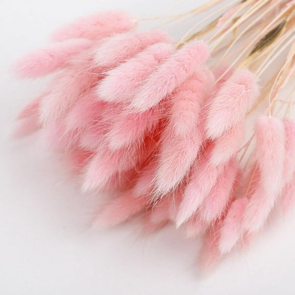 Abcelit 50pcs Natural Dried Flowers Rabbit Tail Grass Flowers Artificial Plant Bouquet Pampas Grass DIY Crafts for Home Wedding Decor