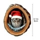 thumbnail image 3 of Adornos Navideños de Animales, Colgantes Planos de Acrílico Impresos En 2D | Adornos para Árbol de Navidad con Búho y Mapache | Adornos Colgantes Duraderos con Cuerda | Decoración Navideña para Árbol, 3 of 4