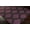 Medium Purple, Dark Brown / Doran, variant on Hauteloom Doran Wool Living Room, Bedroom Area Rug - Contemporary - Medium Purple, Dark Brown - 2' x 3'
