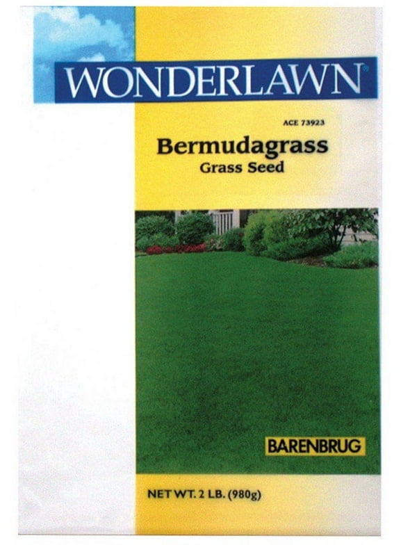 Bermuda Grass Seeds in Grass Seed & Sod