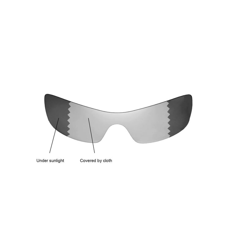 Fahrenheit Berolige Usikker Walleva Transition/Photochromic Polarized Replacement Lenses for Oakley  Batwolf Sunglasses - Walmart.com